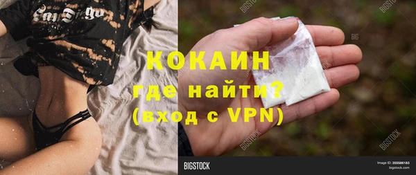 спиды Каменка