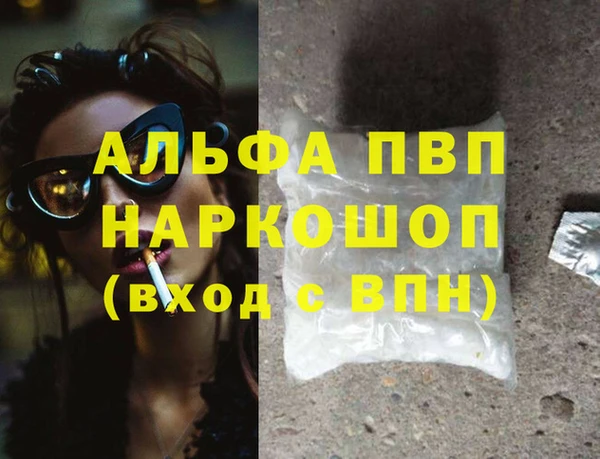 спиды Каменка