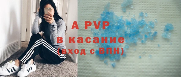 спиды Каменка