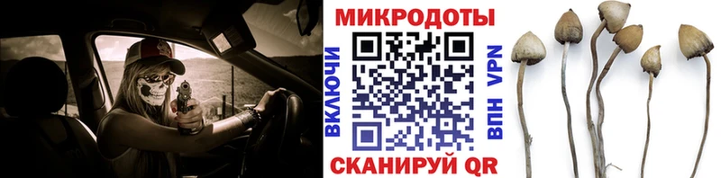 OMG онион  Долгопрудный  Псилоцибиновые грибы Magic Shrooms 