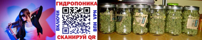 Канабис SATIVA & INDICA  Долгопрудный 